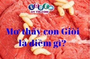 Nằm mơ thấy dòi có ý nghĩa gì? Điềm báo về con số chính xác