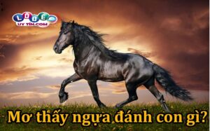 Điềm báo mơ thấy ngựa có ý nghĩa gì? Lý giải chính xác nhất
