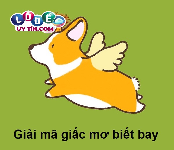 Phân tích giấc mơ biết bay đánh con gì? Điềm báo giấc mơ