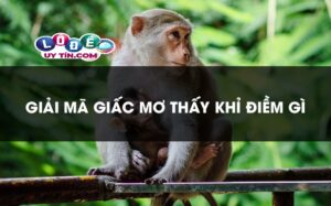 Nằm mơ thấy khỉ có ý nghĩa gì, đánh số mấy dễ trúng?