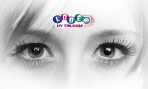 Chiêm bao mơ thấy mắt đánh con gì trúng lớn? Ý nghĩa là gì?