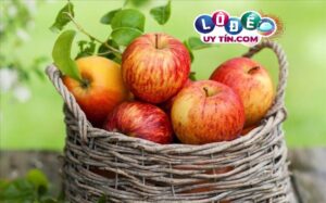 Chiêm bao mơ thấy quả táo có ý nghĩa gì? Đánh số gì trúng?