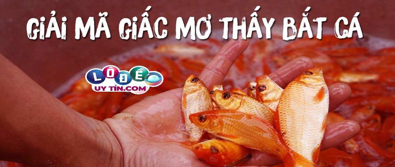 Giải mã mơ bắt được cá đánh con gì, là điềm gì?