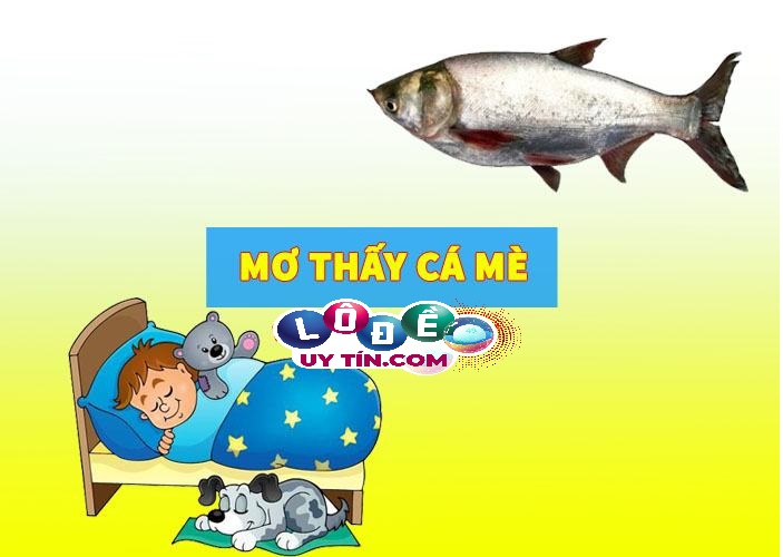 Mơ thấy cá mè đánh số mấy dễ trúng nhất, có ý nghĩa gì?