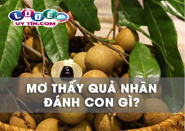 Ngủ mơ thấy quả nhãn báo hiệu điều gì? Đánh con gì chuẩn?