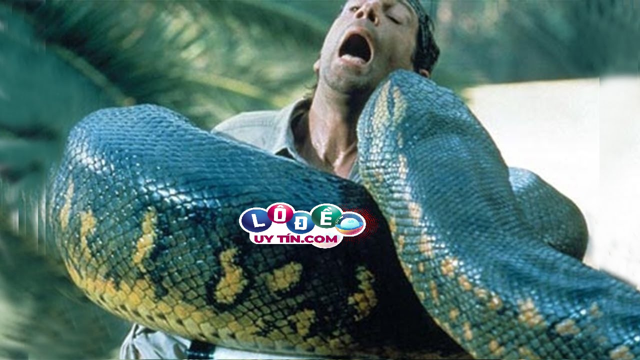 Mơ thấy rắn khổng lồ là điềm gì, đánh con số gì?