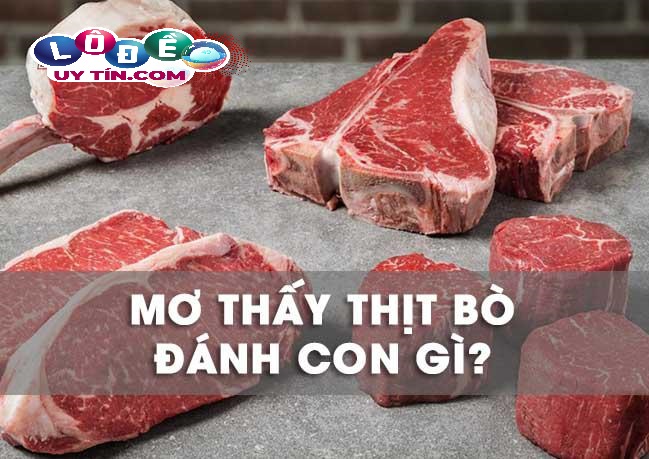 Chiêm bao mơ thấy thịt bò báo hiệu điều gì - Đánh số gì?
