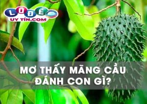 Chiêm bao mơ thấy trái mãng cầu đánh con gì trúng lớn?