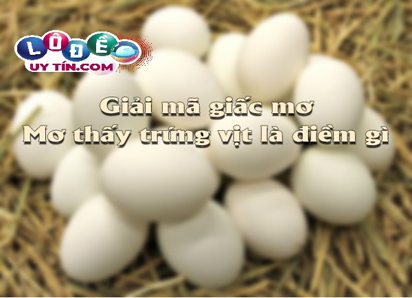 Giải mã giấc mơ thấy trứng vịt lộn là điềm báo tốt hay xấu?