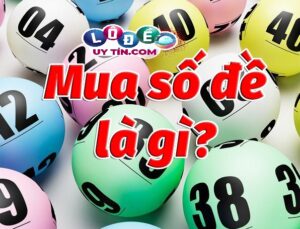 Bán số lô đề uy tín ở đâu? Tại sao phải mua số lô đề?