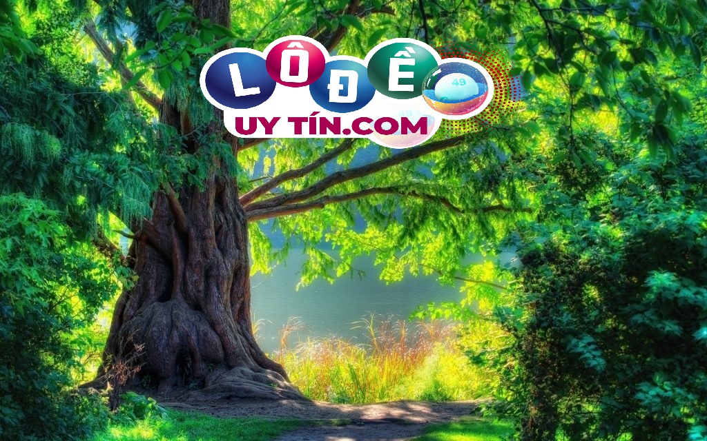 Nằm mơ thấy cây cổ thụ đánh con gì, là điềm tốt hay xấu?