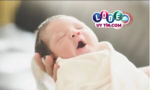 Mơ đẻ con trai đánh con gì? Giải mã ý nghĩa giấc mơ