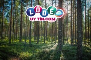 Giải mã giấc mơ thấy rừng cây đánh con gì may mắn