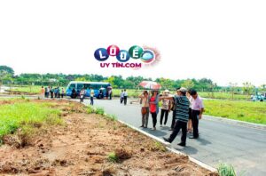 Giải mã nằm mơ thấy mua đất là điềm gì, đánh con gì?