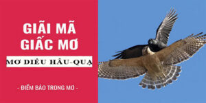 Mơ Diều Hâu - Điềm Báo Tốt Xấu Và Dự Đoán Con Số May Mắn