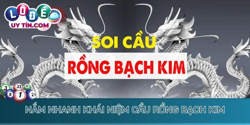 Nắm nhanh khái niệm Cầu Rồng Bạch Kim