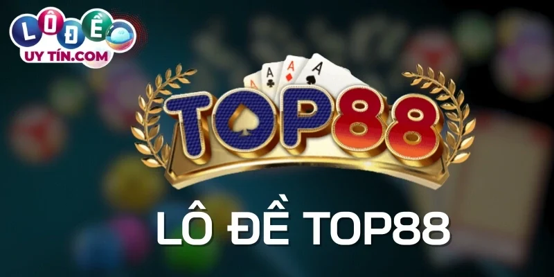 Khám phá hình thức 2D, 3D, 4D